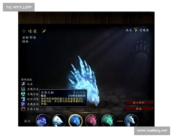 私服魔兽世界:全新玩法揭秘 私服魔兽世界:全新玩法揭秘